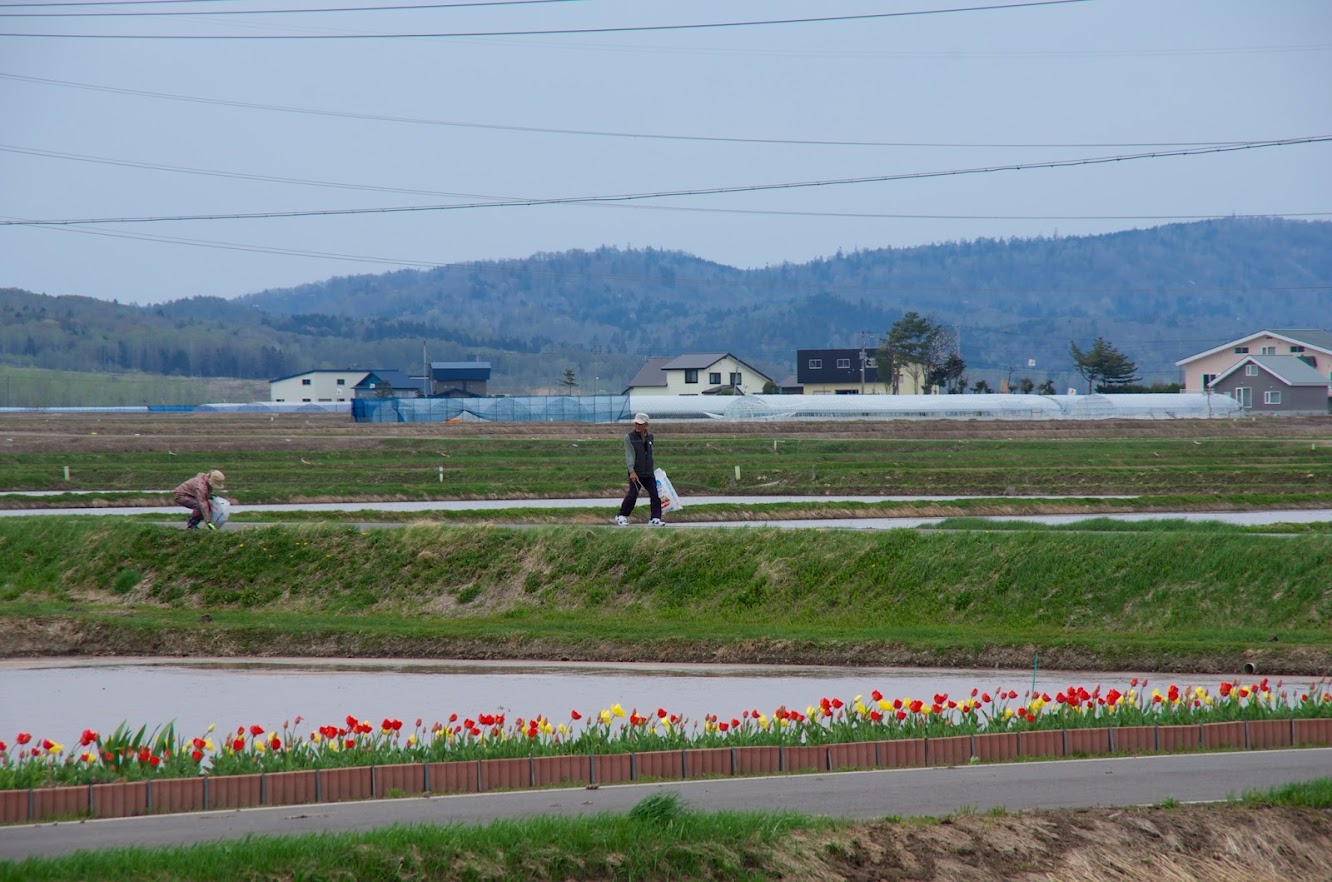 自宅の廻り、地域・町内会を綺麗に。そして花で綺麗に